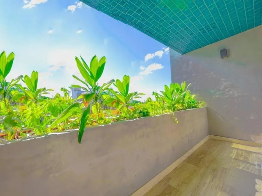Estudio Centrico Entre Av. 10 Y 5Ta Av. Playa del Carmen